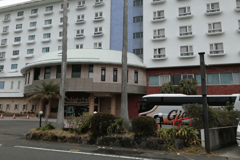 びろう樹は青島グランドホテルの道路向かいにあります。